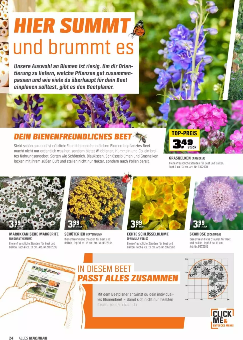 Aktueller Prospekt Obi - Prospekte - von 22.03 bis 10.04.2022 - strona 24 - produkty: angebot, bio, blume, blumen, Brei, eis, elle, kissen, mac, Nektar, pflanze, pflanzen, reis, Ria, sekt, stauden, Ti, top-preis, topf, Wild, ZTE