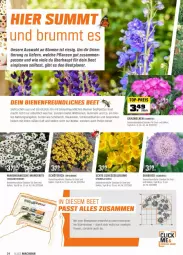 Gazetka promocyjna Obi - Prospekte - Gazetka - ważna od 10.04 do 10.04.2022 - strona 24 - produkty: angebot, bio, blume, blumen, Brei, eis, elle, kissen, mac, Nektar, pflanze, pflanzen, reis, Ria, sekt, stauden, Ti, top-preis, topf, Wild, ZTE
