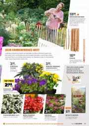 Gazetka promocyjna Obi - Prospekte - Gazetka - ważna od 10.04 do 10.04.2022 - strona 25 - produkty: asus, bio, blume, blumen, brie, decke, erde, haselnuss, kissen, Kraut, latte, mac, natur, nuss, pflanze, pflanzerde, sim, Ti, topf