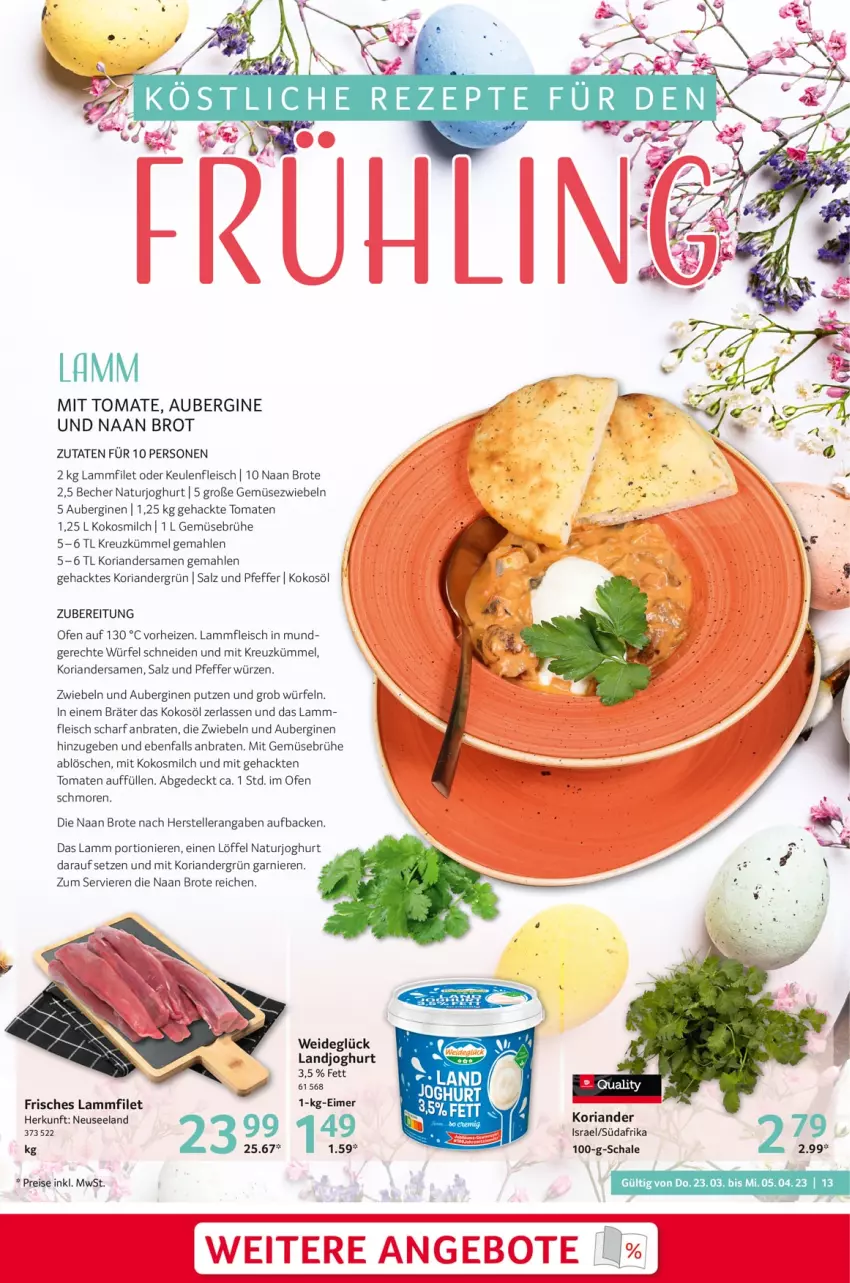 Aktueller Prospekt Selgros - Gastronomie - von 23.03 bis 05.04.2023 - strona 13 - produkty: aubergine, auberginen, Becher, braten, brot, Brühe, eis, Elan, elle, filet, fleisch, garnier, Gemüsebrühe, Gemüsezwiebel, gin, joghur, joghurt, kokos, kokosmilch, kokosöl, Koriander, lamm, Lammfleisch, landjoghurt, Löffel, milch, mit gemüse, natur, naturjoghurt, Ofen, pfeffer, reis, Ria, salz, Schal, Schale, teller, Ti, tomate, tomaten, würfel, zwiebel, zwiebeln