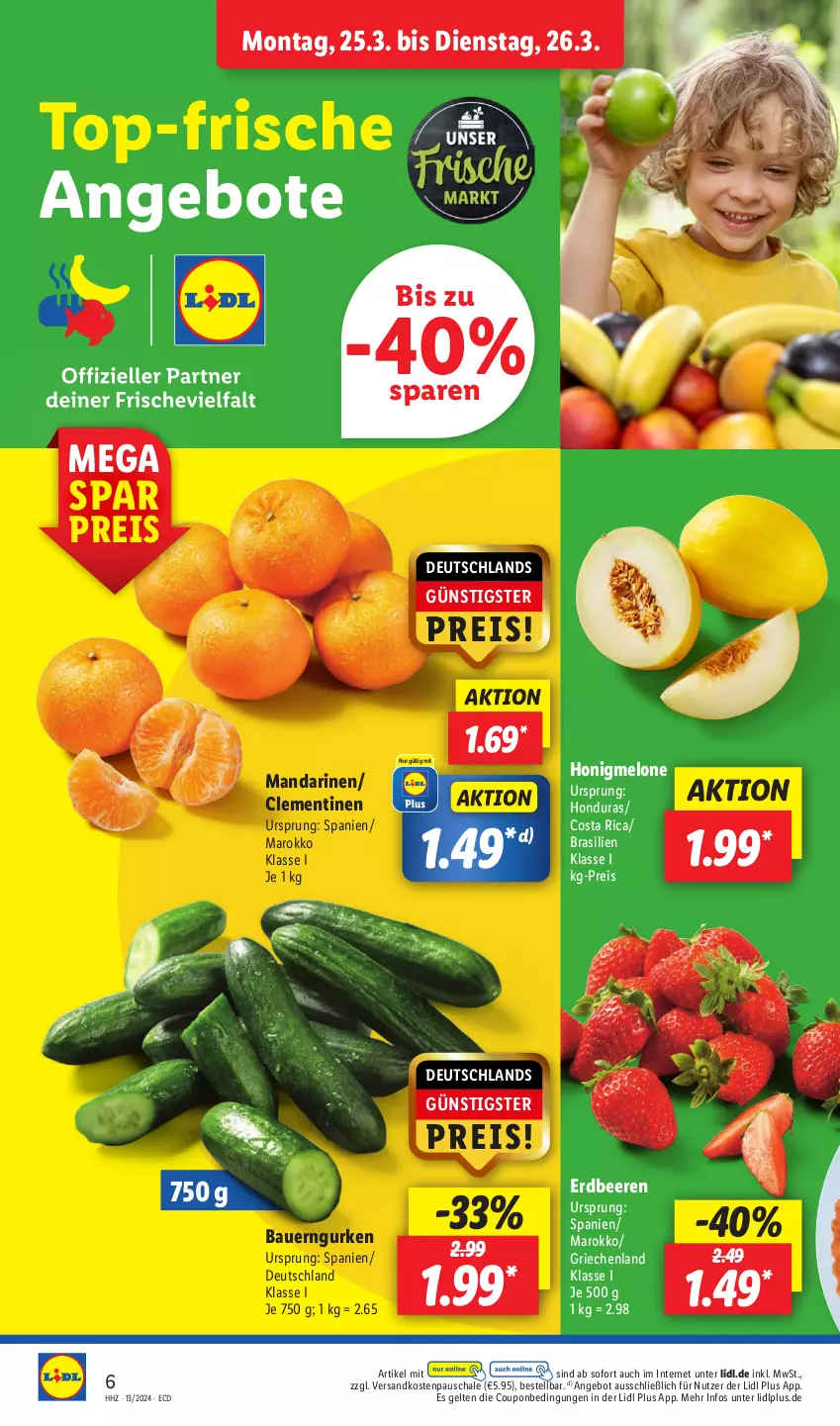 Aktueller Prospekt Lidl - Aktionsprospekt - von 25.03 bis 30.03.2024 - strona 6 - produkty: angebot, angebote, auer, Bau, Bauer, beere, beeren, clementinen, coupon, eis, erdbeere, erdbeeren, gurke, gurken, honig, honigmelone, mandarine, mandarinen, melone, ndk, reis, Schal, Schale, Ti