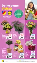 Gazetka promocyjna Lidl - Aktionsprospekt - Gazetka - ważna od 30.03 do 30.03.2024 - strona 58 - produkty: beutel, Kalanchoe, kartoffel, kartoffeln, kräuter, ndk, pflanze, pflanzen, Schal, Schale, Ti, topf, zwiebel, zwiebeln