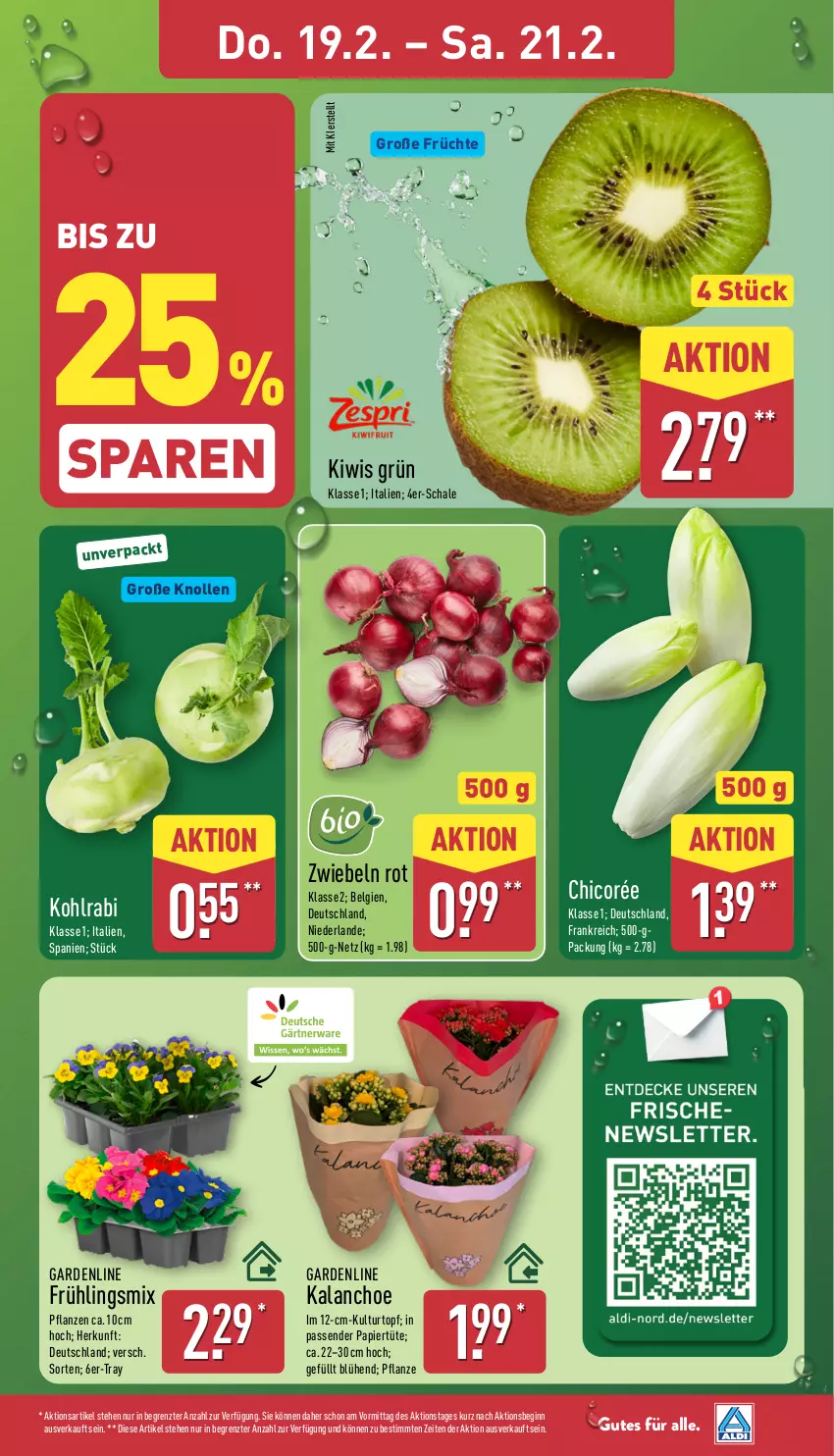 Aktueller Prospekt Aldi Nord - Von Montag - von 16.02 bis 21.02.2026 - strona 3 - produkty: Blüte, Brei, früchte, gin, Kalanchoe, kiwi, kohlrabi, kulturtopf, LG, papier, Papiertüte, pflanze, pflanzen, Schal, Schale, Ti, topf, Tüte, ZTE, zwiebel, zwiebeln