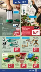Gazetka promocyjna Aldi Nord - Von Montag - Gazetka - ważna od 21.02 do 21.02.2026 - strona 28 - produkty: Blüte, boss, Brei, dell, eis, elle, ferrex, Garten, Gartenschere, gin, heckenschere, hortensie, HP, Kalanchoe, korn, kulturtopf, LG, messer, Mode, papier, Papiertüte, pflanze, pflanzen, riegel, rosen, Schal, Schere, schlauch, Teleskop, Ti, topf, tragegriff, Tüte, wasser, ZTE