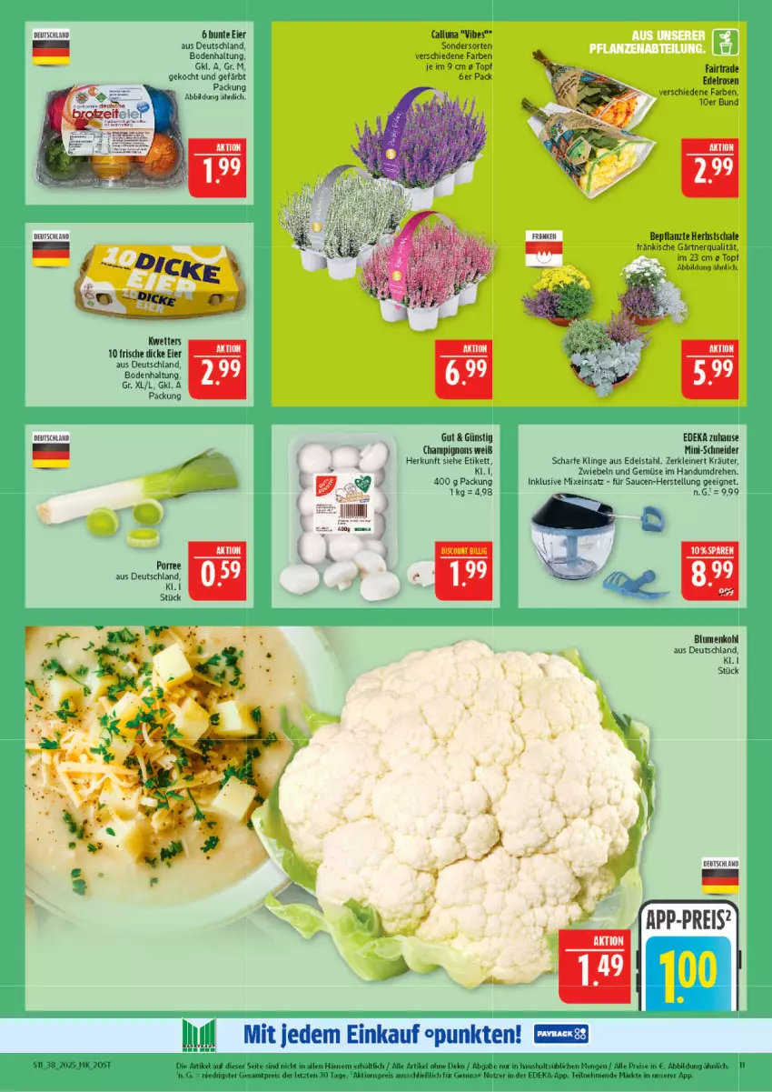 Aktueller Prospekt Marktkauf - Prospekt - von 14.09 bis 20.09.2025 - strona 11 - produkty: aktionspreis, blume, blumen, blumenkohl, champignon, champignons, deka, edelstahl, eier, eis, kräuter, leine, nuss, reis, rosen, sauce, saucen, Schal, Schale, Ti, topf, und gemüse, ZTE, zwiebel, zwiebeln