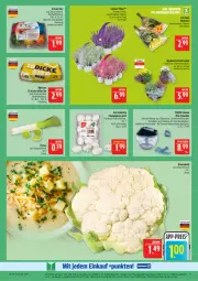 Gazetka promocyjna Marktkauf - Prospekt - Gazetka - ważna od 20.09 do 20.09.2025 - strona 11 - produkty: aktionspreis, blume, blumen, blumenkohl, champignon, champignons, deka, edelstahl, eier, eis, kräuter, leine, nuss, reis, rosen, sauce, saucen, Schal, Schale, Ti, topf, und gemüse, ZTE, zwiebel, zwiebeln