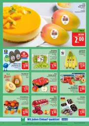 Gazetka promocyjna Marktkauf - Prospekt - Gazetka - ważna od 09.08 do 09.08.2025 - strona 10 - produkty: aprikose, aprikosen, banane, bananen, Bau, deka, eis, Elan, elle, fleisch, kiwi, Kiwi Gold, korb, mango, mangos, Nektar, nektarinen, nektarinen oder, nexa, reis, tafeläpfel, tafeltrauben, Ti, trauben, vita
