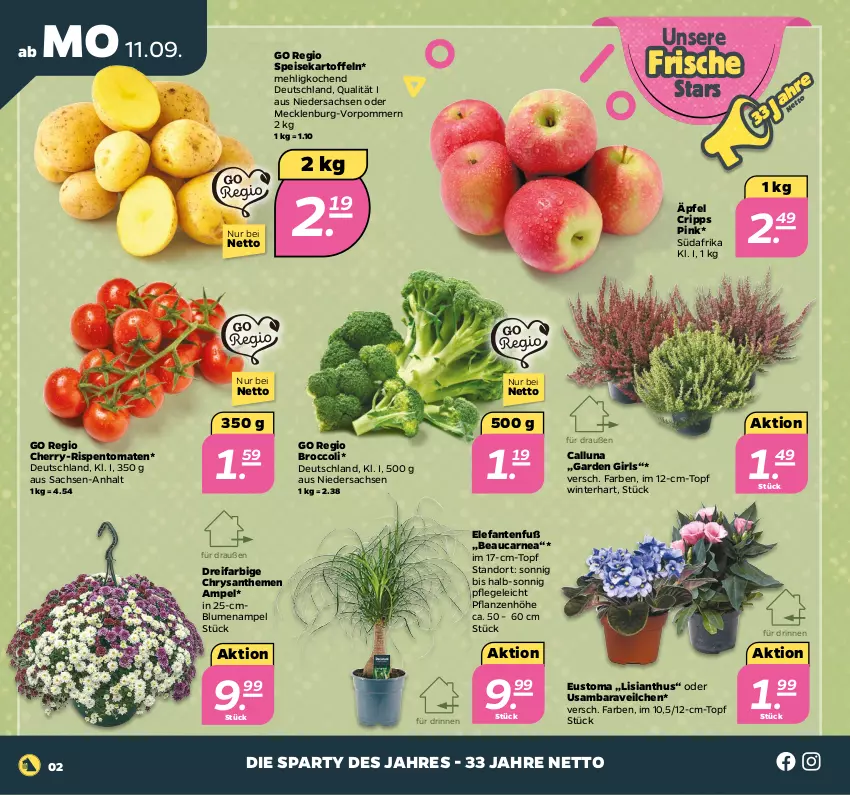 Aktueller Prospekt Netto - Woche 37 - von 11.09 bis 16.09.2023 - strona 2 - produkty: blume, blumen, Blumenampel, broccoli, chrysanthemen, eis, Elefant, kartoffel, kartoffeln, mehl, pflanze, pflanzen, rispentomaten, sac, speisekartoffeln, Ti, tomate, tomaten, topf