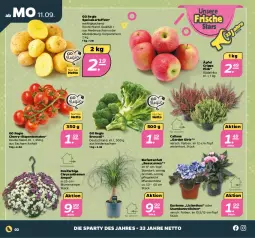 Gazetka promocyjna Netto - Woche 37 - Gazetka - ważna od 16.09 do 16.09.2023 - strona 2 - produkty: blume, blumen, Blumenampel, broccoli, chrysanthemen, eis, Elefant, kartoffel, kartoffeln, mehl, pflanze, pflanzen, rispentomaten, sac, speisekartoffeln, Ti, tomate, tomaten, topf