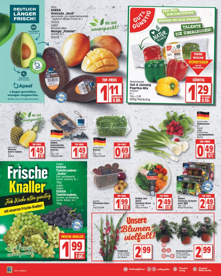 Aktueller Prospekt Edeka - Angebote der Woche - von 22.08 bis 27.08.2022 - strona 10 - produkty: ananas, avocado, deka, dell, Gladiolen, kräuter, Lauchzwiebel, lauchzwiebeln, mais, mango, nuss, paprika, pflaume, pflaumen, radieschen, Schal, Schale, tafeltrauben, Ti, topf, trauben, zwiebel, zwiebeln