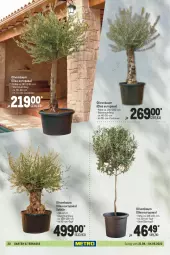 Gazetka promocyjna Metro - Garten Spezial - Gazetka - ważna od 04.05 do 04.05.2022 - strona 20 - produkty: Bau, Container, Garten, olive, oliven, Ti, topf, übertopf