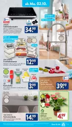 Gazetka promocyjna Aldi Nord - Von Montag - Gazetka - ważna od 07.10 do 07.10.2023 - strona 13 - produkty: ambia, armatur, auto, Bau, baumwolle, Blüte, brause, Brei, bürste, decke, Deckel, dell, eis, elle, gefrierschrank, geschirr, gin, HP, Kinder, küche, Küchen, Küchenhelfer, kulturtopf, latte, leine, mikrowelle, Mode, obst, pflanze, Ria, saft, Schrank, Schütze, spülmaschinen, Spültischarmatur, Ti, timer, tisch, tischdecke, topf, Tüte, überhitzungsschutz, und gemüse, wolle, zitrone, zitronen, zitronensaft, ZTE