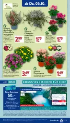 Gazetka promocyjna Aldi Nord - Von Montag - Gazetka - ważna od 07.10 do 07.10.2023 - strona 23 - produkty: aldi, Alpenveilchen, anreisetermine, auer, Bau, Bauer, Blüte, Brei, buch, chrysanthemen, diadem, eis, gin, gutschein, gutscheine, Kinder, kreuzfahrten, kulturtopf, LG, pflanze, pflanzen, reis, Ria, rwe, Schal, Ti, topf, ZTE