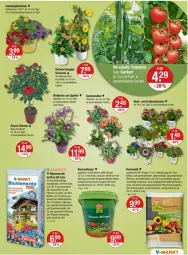 Gazetka promocyjna Vmarkt - Prospekte - Gazetka - ważna od 24.04 do 24.04.2024 - strona 19 - produkty: blume, blumen, blumenerde, calibrachoa, dünger, eis, ente, erde, Garten, gartennelke, Gartenpflanze, mehl, natur, orchidee, orchideen, pflanze, pflanzen, rasen, rasendünger, rosen, Ti, topf, usb, WICK, zauberglöckchen