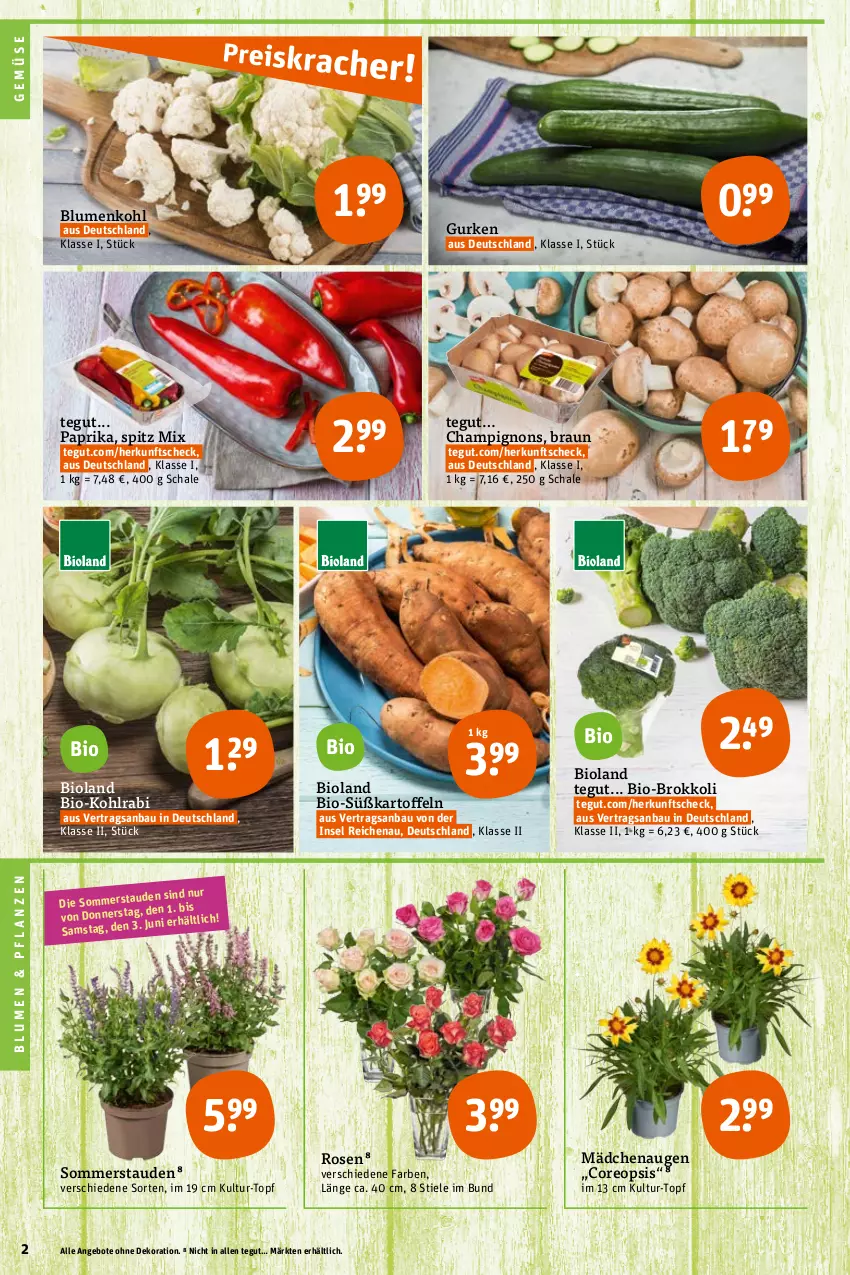 Aktueller Prospekt Tegut - Angebote der Woche - von 30.05 bis 03.06.2023 - strona 4 - produkty: angebot, angebote, Bau, bio, bioland, blume, blumen, blumenkohl, braun, brokkoli, champignon, champignons, dekoration, gurke, gurken, kartoffel, kartoffeln, kohlrabi, oreo, paprika, pflanze, pflanzen, rosen, Schal, Schale, stauden, Süßkartoffeln, Ti, topf