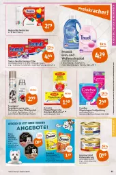 Gazetka promocyjna Tegut - Angebote der Woche - Gazetka - ważna od 03.06 do 03.06.2023 - strona 25 - produkty: aeroxon, angebot, angebote, bio, biozidprodukte, carefree, decke, dreamies, eis, flasche, geschirr, gin, gourmet gold, heitmann, hundenahrung, katzennahrung, katzensnack, katzensnacks, küche, Küchen, küchentücher, Liege, oxo, perwoll, Rauch, reiniger, rwe, slip, slipeinlagen, snack, snacks, somat, Sport, Ti, tierbedarf, tücher, waschmittel