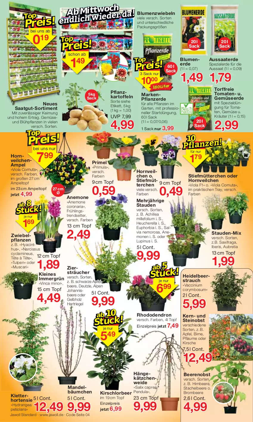 Aktueller Prospekt Jawoll - Prospekte - von 06.03 bis 12.03.2022 - strona 4 - produkty: ACC, apfel, beere, beeren, blume, blumen, blumenerde, brombeere, Cap, cin, corona, eis, elle, erde, Garten, Gemüseerde, Heu, himbeer, himbeere, Holz, hortensie, HP, hydrangea, kartoffel, kartoffeln, Kätzchen, kirsch, kirsche, kräuter, leine, mandel, obst, pflanze, pflanzen, pflanzerde, Pflanzkartoffeln, pflaume, Rauch, reis, rel, Ria, riegel, sac, Spezi, stauden, Ti, tisch, tomate, tomaten, topf, zwiebel, zwiebeln