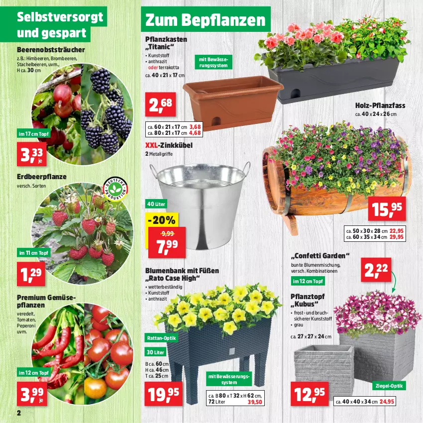 Aktueller Prospekt Thomas Philipps - von 29.04 bis 04.05.2024 - strona 2 - produkty: Bank, beere, beeren, blume, blumen, brombeere, brombeeren, Erdbeerpflanze, himbeer, himbeere, himbeeren, Holz, LG, obst, peperoni, Peroni, pflanze, pflanzen, Pflanzkasten, Pflanztopf, Stachelbeeren, Ti, tomate, tomaten, topf