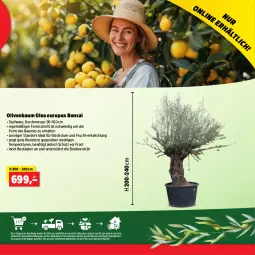 Gazetka promocyjna Thomas Philipps - Gazetka - ważna od 04.05 do 04.05.2024 - strona 11 - produkty: Bau, bio, frucht, messer, olive, oliven, Ti, topf, WICK