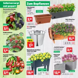 Gazetka promocyjna Thomas Philipps - Gazetka - ważna od 04.05 do 04.05.2024 - strona 2 - produkty: Bank, beere, beeren, blume, blumen, brombeere, brombeeren, Erdbeerpflanze, himbeer, himbeere, himbeeren, Holz, LG, obst, peperoni, Peroni, pflanze, pflanzen, Pflanzkasten, Pflanztopf, Stachelbeeren, Ti, tomate, tomaten, topf