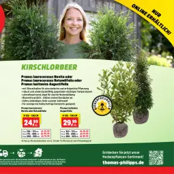 Gazetka promocyjna Thomas Philipps - Gazetka - ważna od 04.05 do 04.05.2024 - strona 5 - produkty: asus, ball, Blüte, decke, eis, kirsch, LG, pflanze, pflanzen, reis, Ti, vita