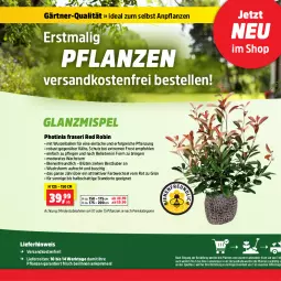 Gazetka promocyjna Thomas Philipps - Gazetka - ważna od 04.05 do 04.05.2024 - strona 6 - produkty: ball, Blüte, eis, elle, LG, Mode, ndk, pflanze, pflanzen, reis, ring, Ti, versandkostenfrei