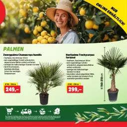 Gazetka promocyjna Thomas Philipps - Gazetka - ważna od 04.05 do 04.05.2024 - strona 9 - produkty: erde, hama, messer, Ti, topf