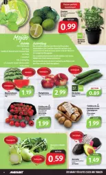 Gazetka promocyjna Markant - Prospekte - Gazetka - ważna od 01.07 do 01.07.2023 - strona 4 - produkty: avocado, avocados, bio, bio gurken, champignon, champignons, creme, goldmarie, gurke, gurken, gutes essen, HP, limette, limetten, melone, melonen, Mett, metten, nuss, pfirsich, pfirsiche, Schal, Schale, Ti, tomate, tomaten, wasser, wassermelone, wassermelonen