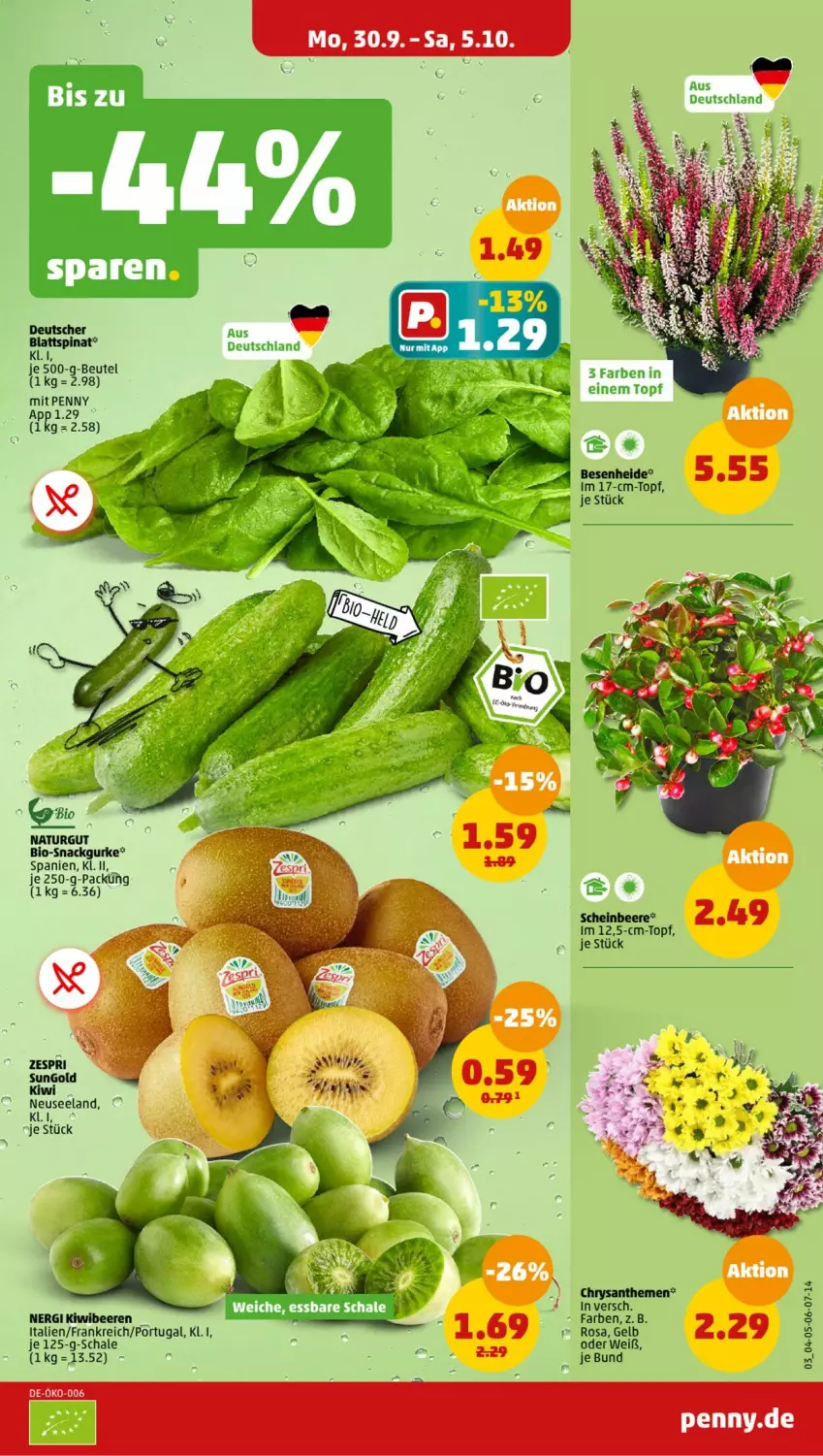 Aktueller Prospekt Penny - Prospekte - von 30.09 bis 05.10.2024 - strona 3 - produkty: beere, beeren, beutel, bio, blattspinat, chrysanthemen, gurke, kiwi, natur, Schal, Schale, snack, spinat, topf, zespri