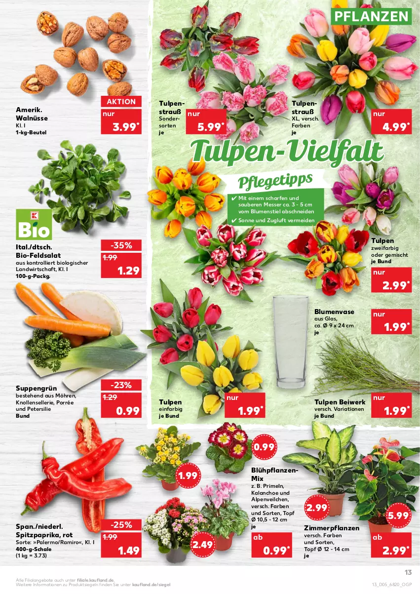 Aktueller Prospekt Kaufland - von 03.02 bis 09.02.2022 - strona 13 - produkty: Alpenveilchen, angebot, angebote, beutel, bio, blume, blumen, elle, feldsalat, HP, Kalanchoe, messer, möhren, paprika, petersilie, pflanze, pflanzen, Primeln, Ria, salat, Schal, Schale, Spitzpaprika, suppe, suppen, Ti, topf, trolli, Vase