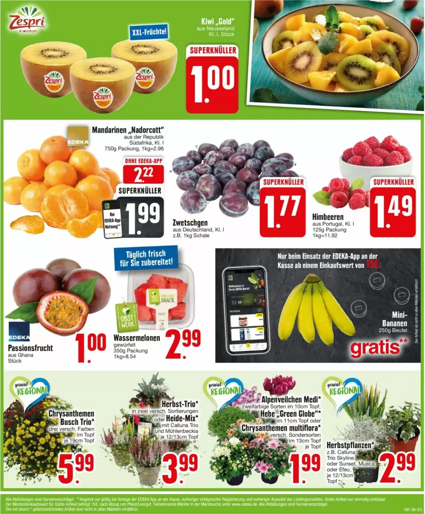 Aktueller Prospekt Edeka - Prospekte - von 02.09 bis 07.09.2024 - strona 3 - produkty: banane, bananen, beere, beeren, bio, chrysanthemen, deka, frucht, himbeer, himbeere, himbeeren, mandarine, mandarinen, melone, melonen, passionsfrucht, Schal, Schale, Ti, topf, wasser, wassermelone, wassermelonen, würfel