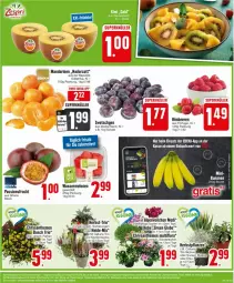 Gazetka promocyjna Edeka - Prospekte - Gazetka - ważna od 07.09 do 07.09.2024 - strona 3 - produkty: banane, bananen, beere, beeren, bio, chrysanthemen, deka, frucht, himbeer, himbeere, himbeeren, mandarine, mandarinen, melone, melonen, passionsfrucht, Schal, Schale, Ti, topf, wasser, wassermelone, wassermelonen, würfel