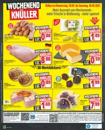 Gazetka promocyjna Edeka - Angebote der Woche - Gazetka - ważna od 30.09 do 30.09.2023 - strona 16 - produkty: angebot, angebote, deka, eis, elle, LG, Liege, papier, reis, rel, telefon, Ti, uhr, ZTE