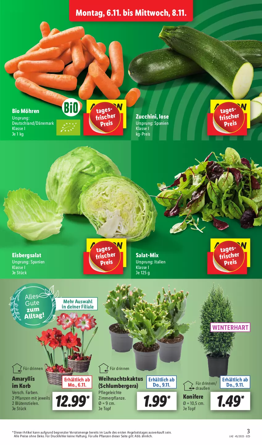 Aktueller Prospekt Lidl - Aktionsprospekt - von 06.11 bis 11.11.2023 - strona 3 - produkty: angebot, Berger, bio, Blüte, eis, eisbergsalat, Konifere, korb, möhren, pflanze, pflanzen, reis, salat, Ti, topf, ZTE, zucchini