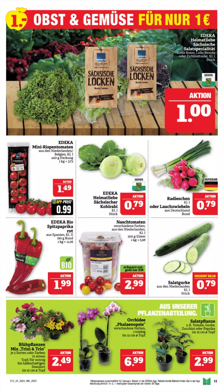 Aktueller Prospekt Marktkauf - Prospekt - von 09.06 bis 15.06.2024 - strona 13 - produkty: aktionspreis, bio, deka, edeka bio, eimer, eis, kohlrabi, Lauchzwiebel, lauchzwiebeln, LG, mini-rispentomaten, nuss, paprika, radieschen, reis, rispentomaten, salat, Spezi, Spitzpaprika, Ti, tomate, tomaten, ZTE, zwiebel, zwiebeln