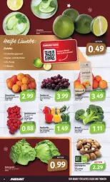 Gazetka promocyjna Markant - Prospekte - Gazetka - ważna od 17.12 do 17.12.2022 - strona 4 - produkty: beutel, bio, broccoli, champignon, champignons, clementinen, creme, datteltomaten, eis, eisbergsalat, gutes essen, ingwer, limette, limetten, Mett, metten, paprika, paprika mix, salat, Schal, Schale, Ti, tomate, tomaten, trauben, wasser