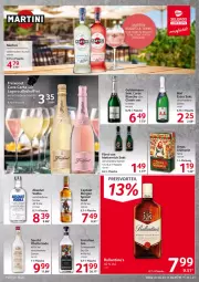 Gazetka promocyjna Selgros - Food - Gazetka - ważna od 30.11 do 30.11.2022 - strona 21 - produkty: alkohol, Cap, Cava, dry gin, eis, flasche, freixenet, geldermann, gin, Glühwein, martini, Mett, metternich, obst, preisvorteil, reis, sekt, specht, Ti, vodka, wein