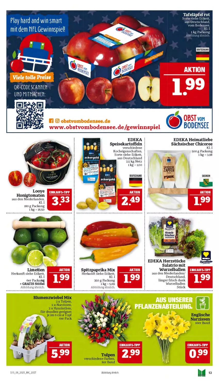 Aktueller Prospekt Marktkauf - Prospekt - von 02.02 bis 08.02.2025 - strona 13 - produkty: ball, blume, blumen, deka, eis, elle, honig, Honigtomaten, kartoffel, kartoffeln, limette, limetten, mac, Mett, metten, Narzissen, paprika, paprika mix, sac, salat, speisekartoffeln, Spitzpaprika, tafeläpfel, Ti, tomate, tomaten, topf, Yo, zwiebel