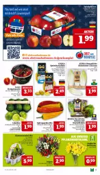 Gazetka promocyjna Marktkauf - Prospekt - Gazetka - ważna od 08.02 do 08.02.2025 - strona 13 - produkty: ball, blume, blumen, deka, eis, elle, honig, Honigtomaten, kartoffel, kartoffeln, limette, limetten, mac, Mett, metten, Narzissen, paprika, paprika mix, sac, salat, speisekartoffeln, Spitzpaprika, tafeläpfel, Ti, tomate, tomaten, topf, Yo, zwiebel