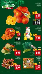 Gazetka promocyjna Marktkauf - Prospekt - Gazetka - ważna od 08.02 do 08.02.2025 - strona 14 - produkty: aktionspreis, bier, deka, discount, eis, mandarine, mandarinen, nuss, orange, orangen, reis, rosen, salat, Salatmix, suppe, suppen, Ti, zitrone, zitronen