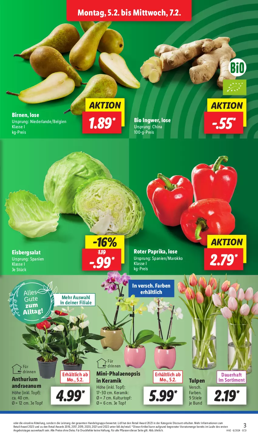 Aktueller Prospekt Lidl - Aktionsprospekt - von 05.02 bis 10.02.2024 - strona 3 - produkty: Abtei, angebot, auer, bio, Birnen, discount, eis, eisbergsalat, ingwer, kulturtopf, LG, paprika, pflanze, pflanzen, phalaenopsis, reis, salat, Ti, topf, ZTE