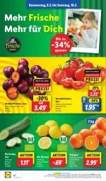 Gazetka promocyjna Lidl - Aktionsprospekt - Gazetka - ważna od 10.02 do 10.02.2024 - strona 52 - produkty: angebot, bio, bio gurken, coupon, eis, gurke, gurken, ndk, orange, orangen, pflaume, pflaumen, Rauch, reis, Schal, Schale, strauchtomaten, Ti, tomate, tomaten, zitrone, zitronen