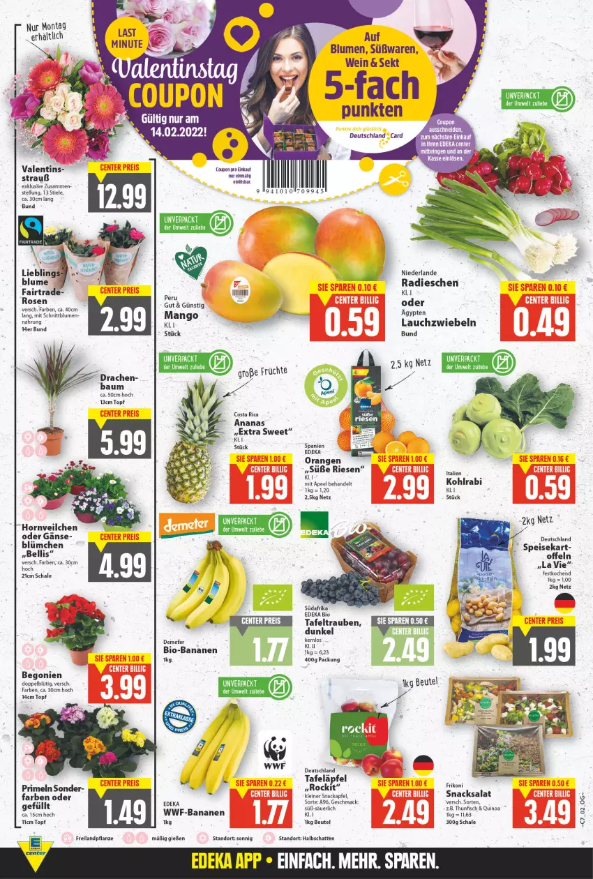 Aktueller Prospekt E Center - Angebote der Woche - von 14.02 bis 19.02.2022 - strona 2 - produkty: apfel, banane, bananen, Bau, Begonie, beutel, bio, bio-bananen, blume, blumen, coupon, deka, edeka bio, eis, fisch, früchte, kohlrabi, Lauchzwiebel, lauchzwiebeln, leine, mac, mango, orange, orangen, pflanze, Primeln, quinoa, radieschen, salat, Schal, Schale, sekt, snack, snacks, tafeläpfel, tafeltrauben, thunfisch, Ti, topf, trauben, wein, zwiebel, zwiebeln