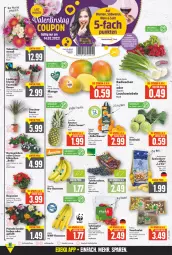 Gazetka promocyjna E Center - Angebote der Woche - Gazetka - ważna od 19.02 do 19.02.2022 - strona 2 - produkty: apfel, banane, bananen, Bau, Begonie, beutel, bio, bio-bananen, blume, blumen, coupon, deka, edeka bio, eis, fisch, früchte, kohlrabi, Lauchzwiebel, lauchzwiebeln, leine, mac, mango, orange, orangen, pflanze, Primeln, quinoa, radieschen, salat, Schal, Schale, sekt, snack, snacks, tafeläpfel, tafeltrauben, thunfisch, Ti, topf, trauben, wein, zwiebel, zwiebeln