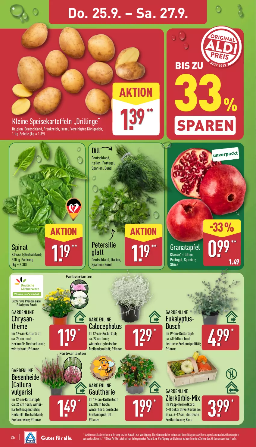 Aktueller Prospekt Aldi Nord - Von Montag - von 22.09 bis 27.09.2025 - strona 30 - produkty: apfel, Blüte, Brei, eis, gin, grana, granatapfel, henkel, kartoffel, kartoffeln, korb, kulturtopf, Kürbis, leine, LG, petersilie, pflanze, pflanzen, Rana, Ria, Schal, Schale, speisekartoffeln, spinat, Ti, topf, usb, ZTE