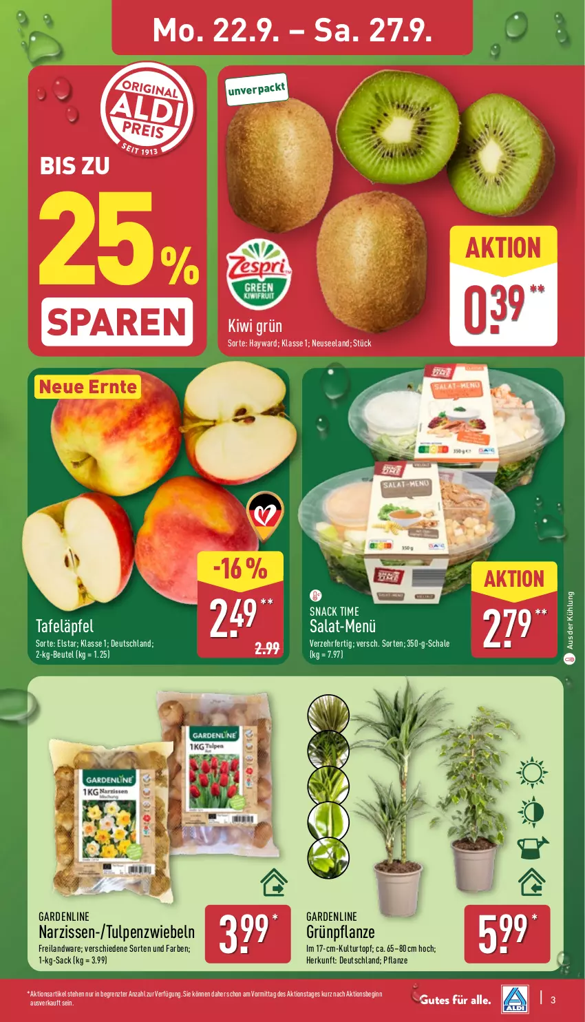 Aktueller Prospekt Aldi Nord - Von Montag - von 22.09 bis 27.09.2025 - strona 7 - produkty: beutel, Blüte, Brei, Elan, gin, kiwi, kulturtopf, Narzissen, pflanze, sac, salat, Schal, Schale, snack, snack time, tafeläpfel, Ti, topf, ZTE, zwiebel, zwiebeln