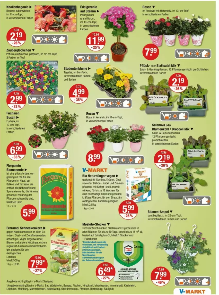 Aktueller Prospekt Vmarkt - Prospekte - von 08.05 bis 14.05.2025 - strona 15 - produkty: angebot, angebote, Bad, Bau, bio, blume, blumen, blumenerde, blumenkohl, broccoli, dünger, ente, erde, ferramol schneckenkorn, fisch, fische, geranie, Germ, korn, kräuter, LG, natur, obst, Ofen, Pelargonium, pflanze, pflanzen, rosen, rum, salat, schneckenkorn, Ti, topf