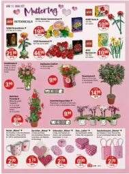 Gazetka promocyjna Vmarkt - Prospekte - Gazetka - ważna od 14.05 do 14.05.2025 - strona 14 - produkty: Becher, Geschenktasche, leine, Narzissen, papier, phalaenopsis, Serviette, servietten, spülmaschinen, Tasche, Ti, topf, Untersetzer