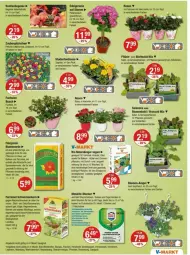 Gazetka promocyjna Vmarkt - Prospekte - Gazetka - ważna od 14.05 do 14.05.2025 - strona 15 - produkty: angebot, angebote, Bad, Bau, bio, blume, blumen, blumenerde, blumenkohl, broccoli, dünger, ente, erde, ferramol schneckenkorn, fisch, fische, geranie, Germ, korn, kräuter, LG, natur, obst, Ofen, Pelargonium, pflanze, pflanzen, rosen, rum, salat, schneckenkorn, Ti, topf