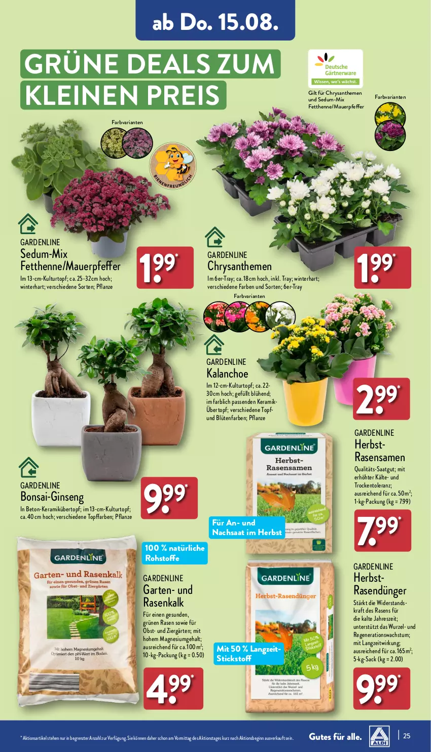 Aktueller Prospekt Aldi Nord - Von Montag - von 12.08 bis 17.08.2024 - strona 25 - produkty: auer, Blüte, Brei, chrysanthemen, dünger, eis, Garten, gin, Kalanchoe, kraft, kulturtopf, leine, magnesium, obst, pfeffer, pflanze, rasen, rasendünger, rasensamen, reis, Ria, sac, Ti, topf, übertopf, ZTE